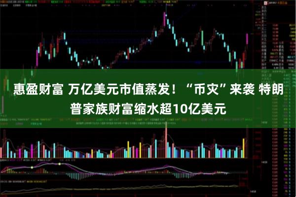 惠盈财富 万亿美元市值蒸发！“币灾”来袭 特朗普家族财富缩水超10亿美元