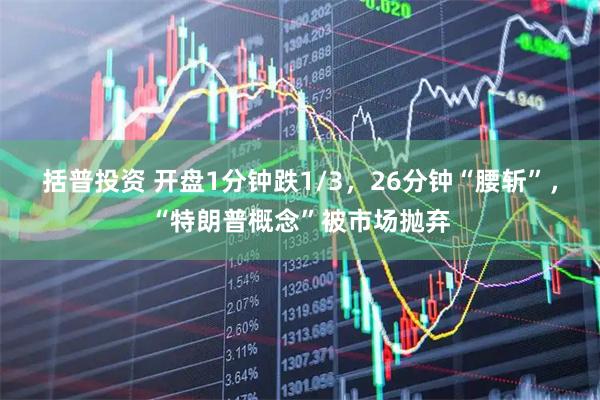 括普投资 开盘1分钟跌1/3，26分钟“腰斩”，“特朗普概念”被市场抛弃