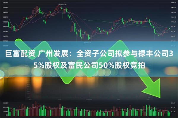 巨富配资 广州发展：全资子公司拟参与禄丰公司35%股权及富民公司50%股权竞拍