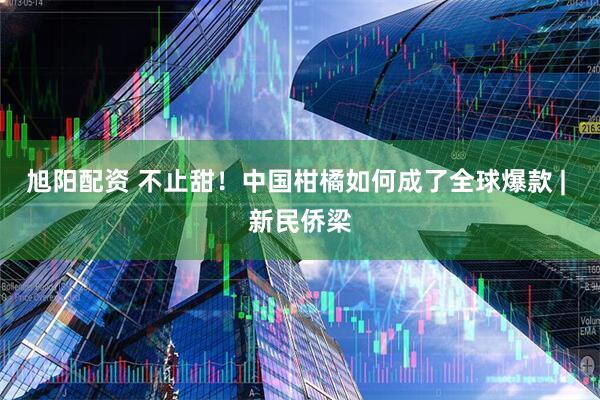 旭阳配资 不止甜！中国柑橘如何成了全球爆款 | 新民侨梁